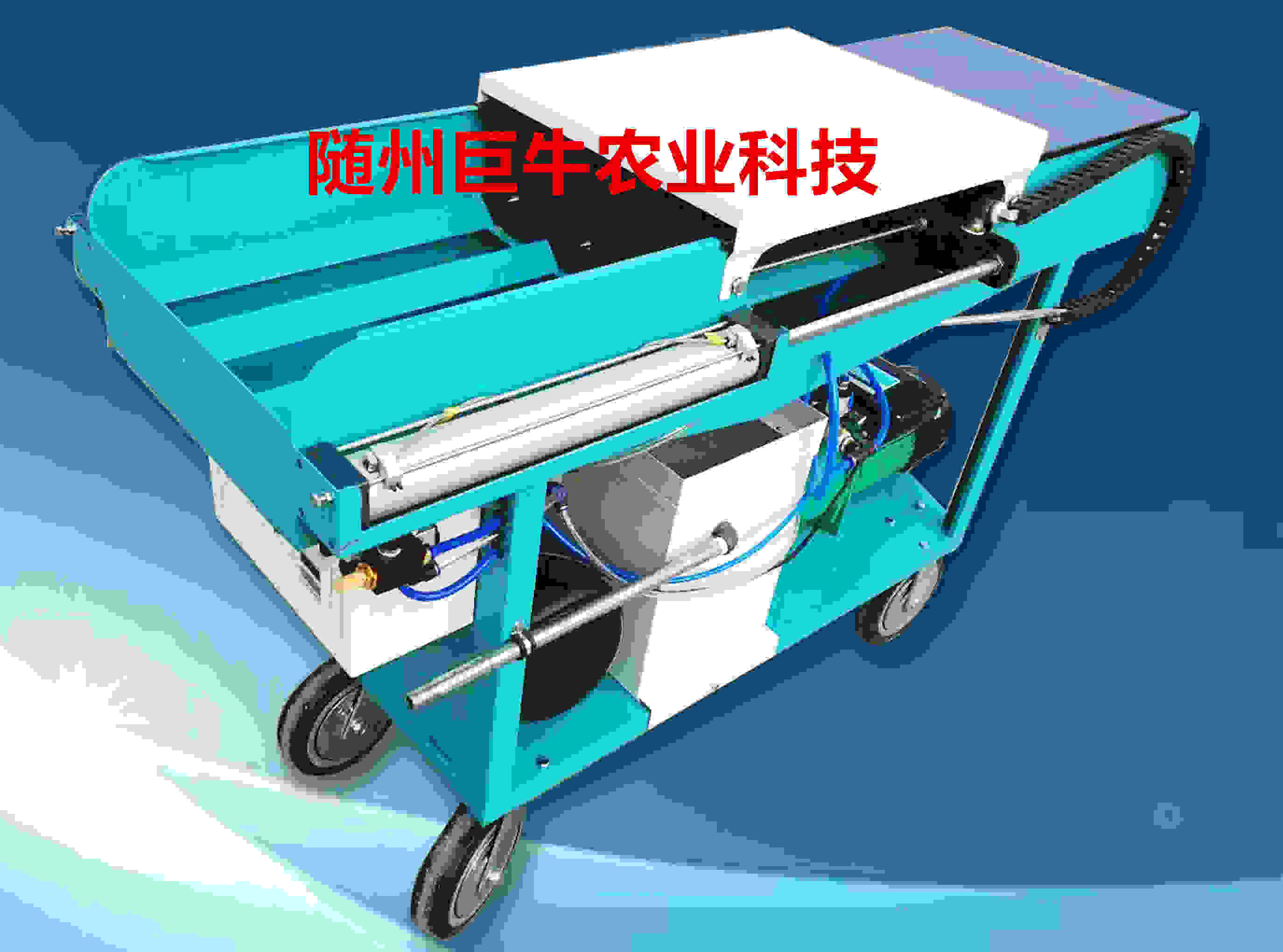 Image-2